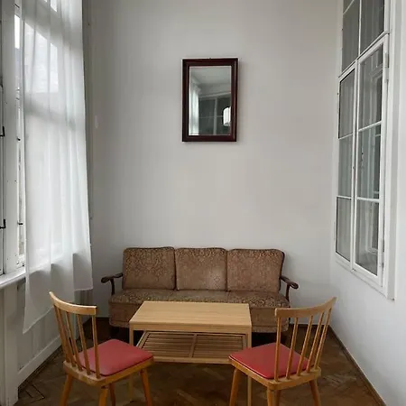 Geraeumige Altbauwohnung Im Zentrum Грац
