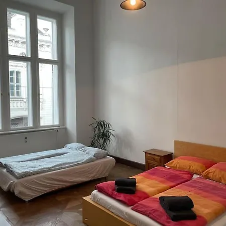 Geraeumige Altbauwohnung Im Zentrum גראץ