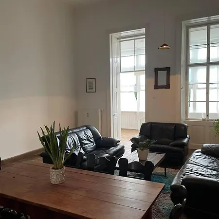 Geraeumige Altbauwohnung Im Zentrum * Graz